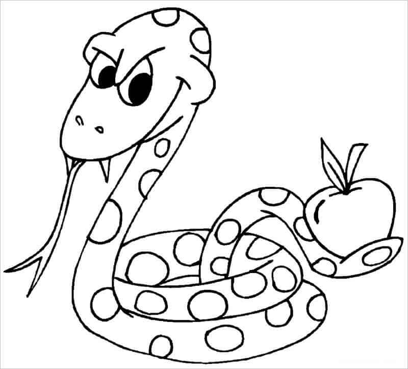 vẽ rắn hổ mang  tô màu rắn hổ mang cùng bạn bút chì  học và chơi  YouTube