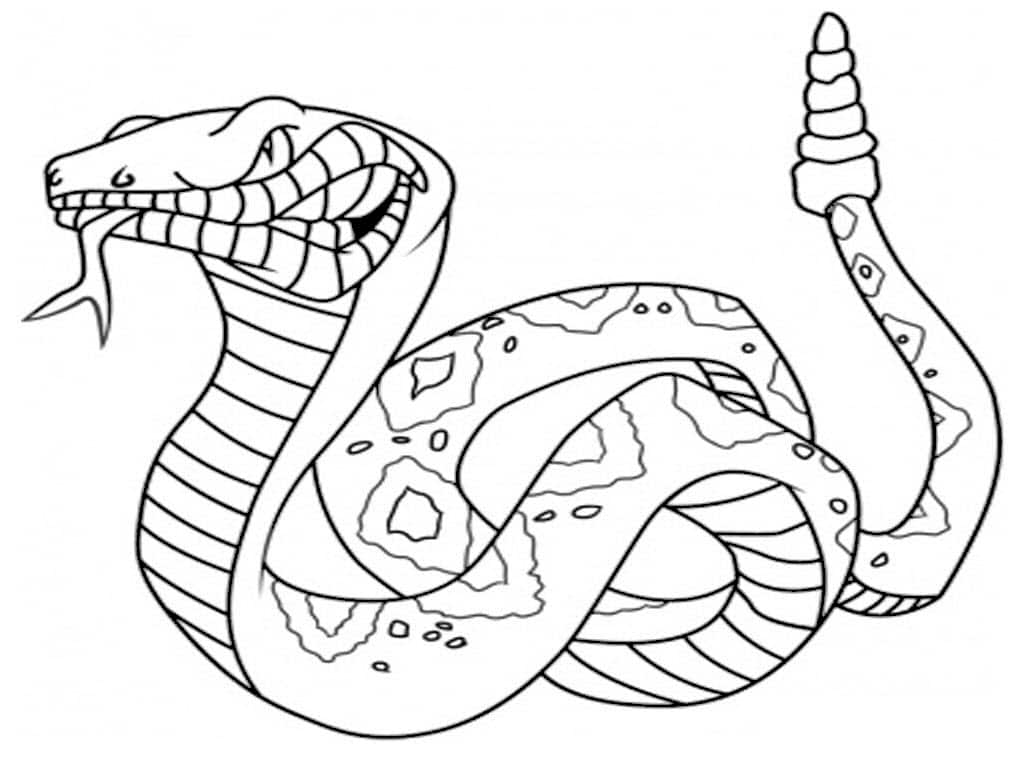 Tranh tô màu con rắn dành cho bé  Mầm non Cổ Bi