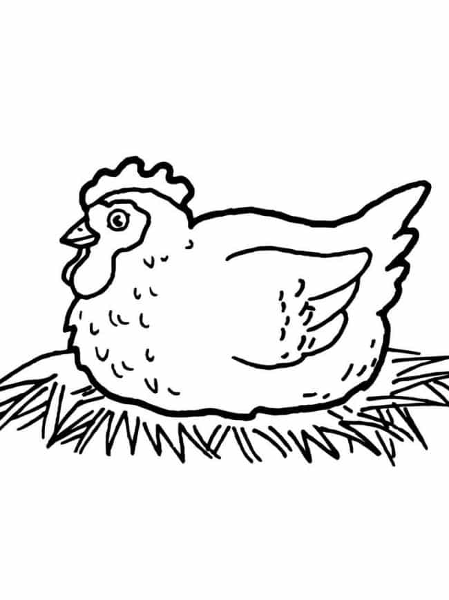 Hình vẽ gà mái ấp trứng dễ thương