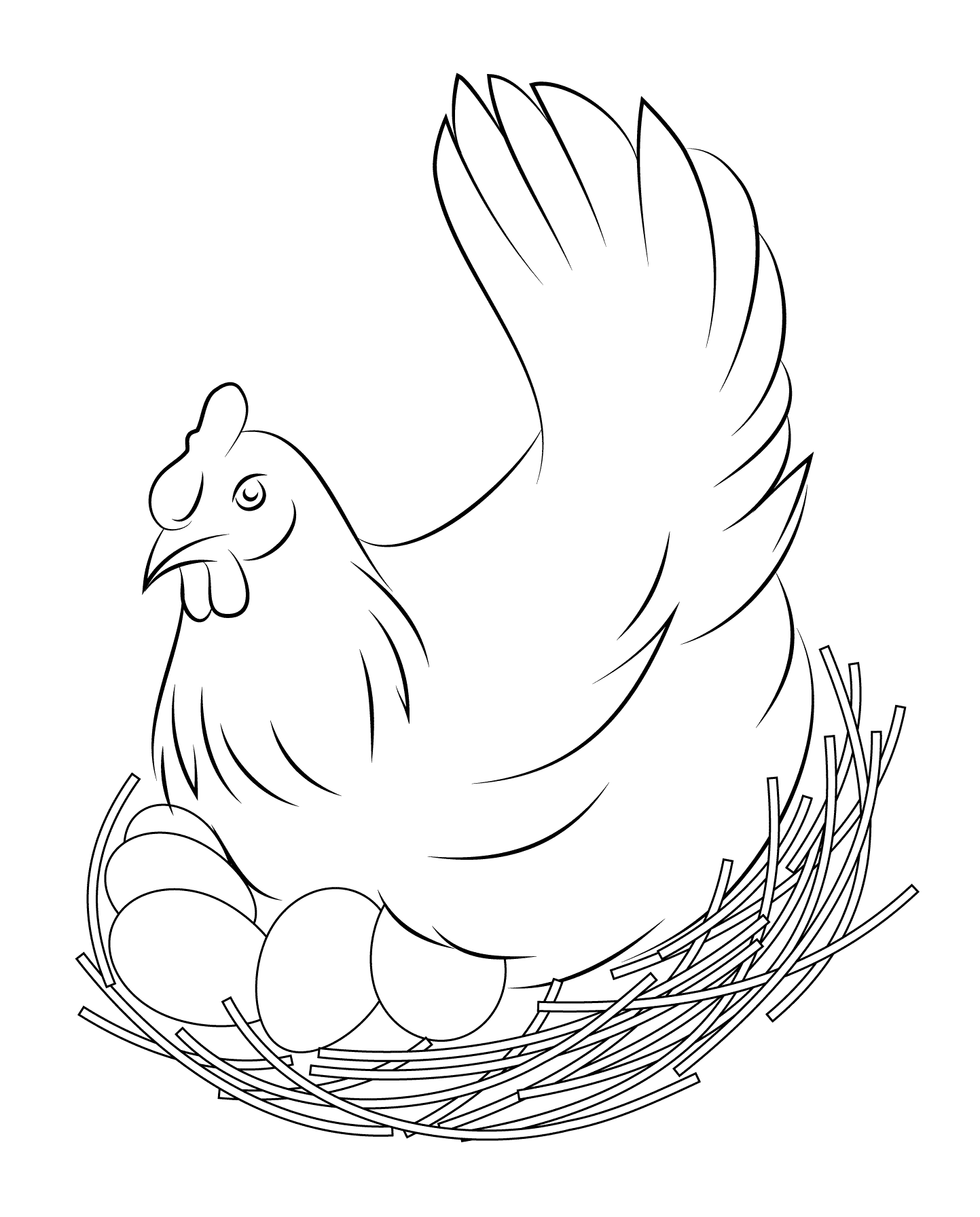 Hình vẽ gà mái ấp trứng