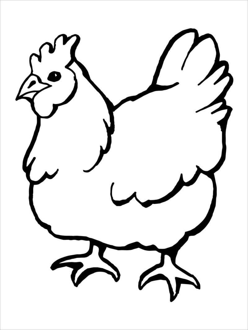 Hình vẽ gà mái đẹp đơn giản nhất