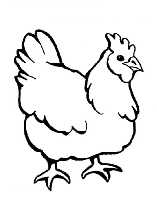 Chi tiết với hơn 74 vẽ tranh con gà trống hay nhất  Tin Học Vui