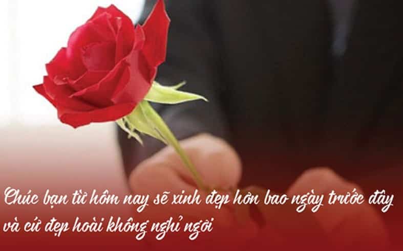 Lời chúc ngọt ngào cho người yêu cùng hoa hồng đẹp