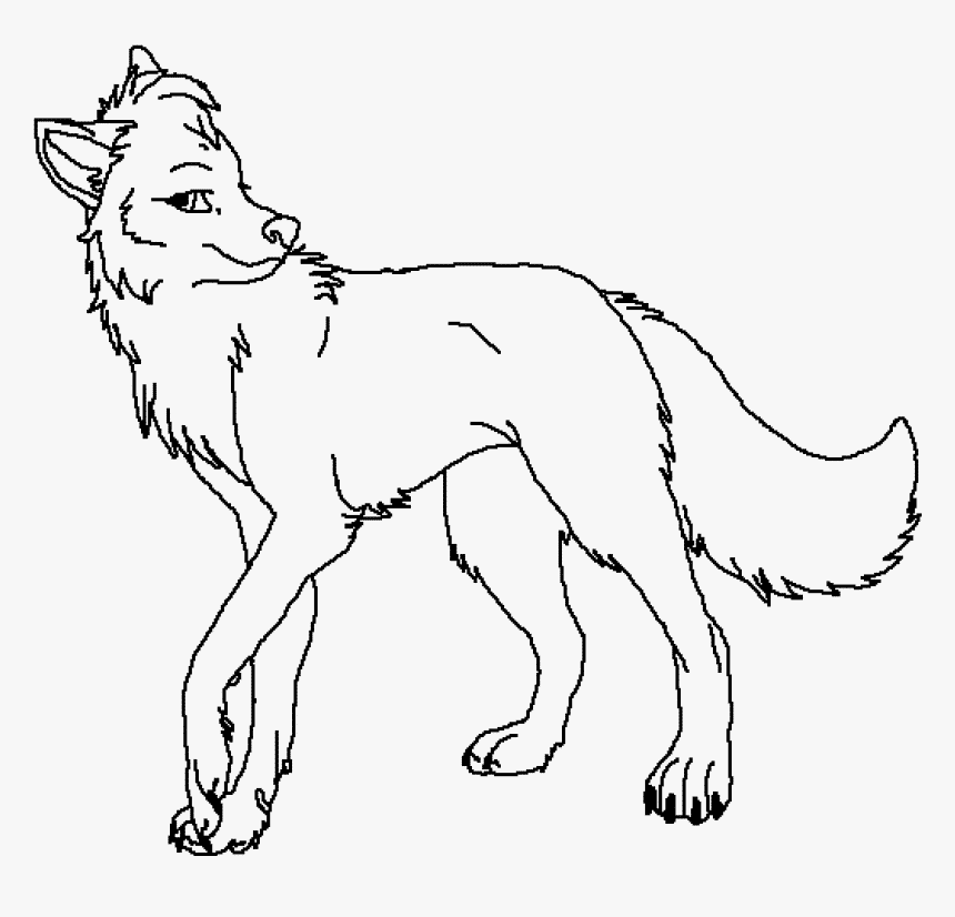 Hướng dẫn cách vẽ con chó sói đơn giản với 6 bước cơ bản cách vẽ chó sói  như thật