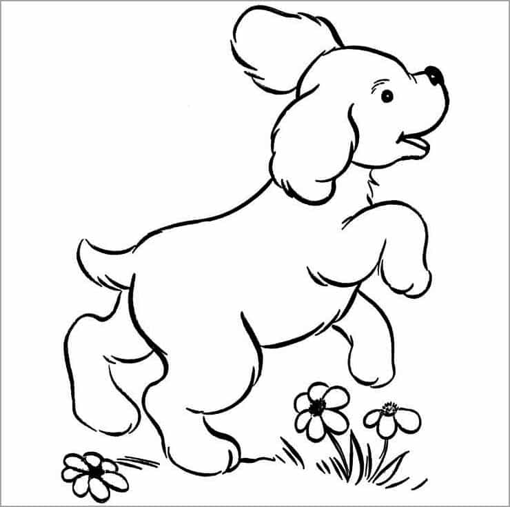 Cách vẽ con chó  Hướng dẫn vẽ từng bước cho chú chó hoạt hình dễ thương   Tô Màu