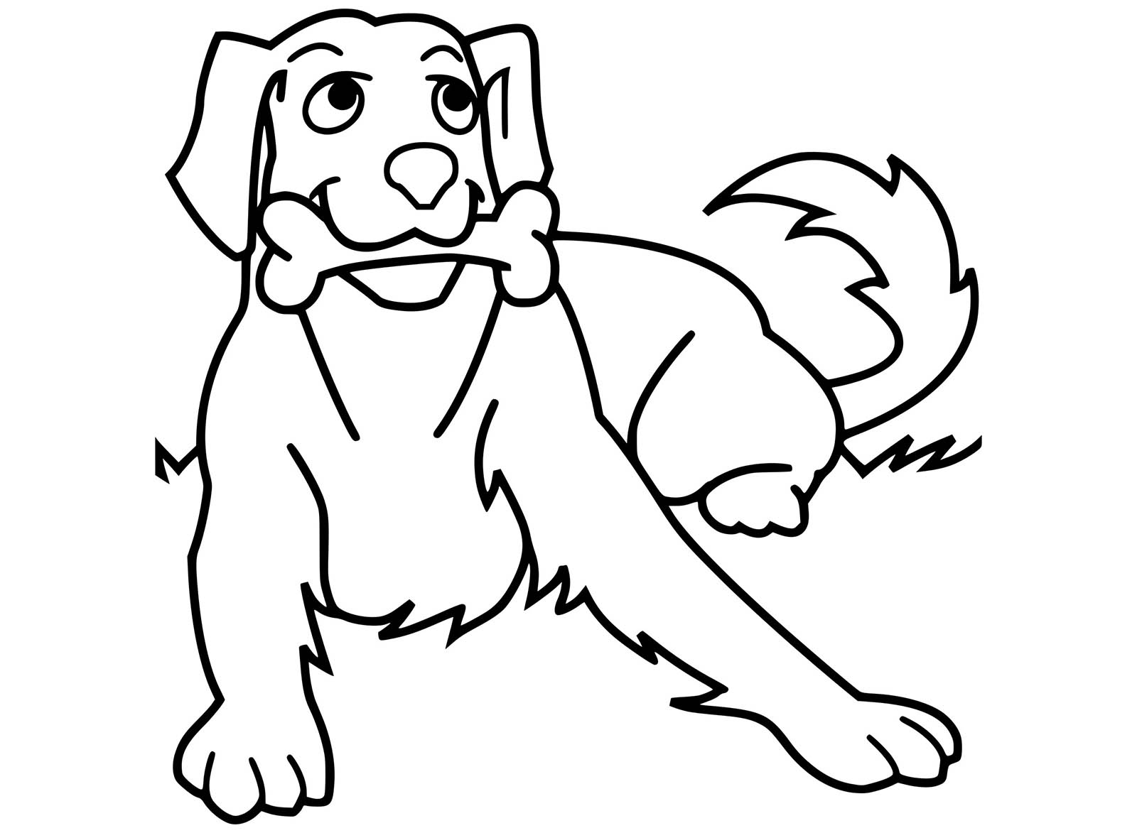 Cách vẽ con chó đơn giản với 8 bước cơ bản có hướng dẫn chi tiết  Group  Kiến Trúc Sư Việt Nam