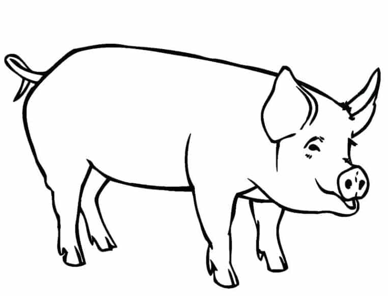 Vẽ Con Lợn cực kỳ độc đáo