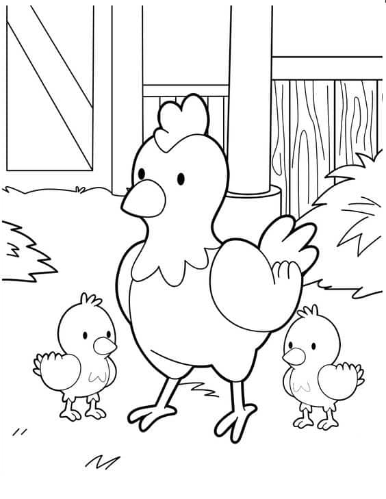 Cách vẽ con gà Gà trống gà mái đơn giản mà đẹp nhất cho bé
