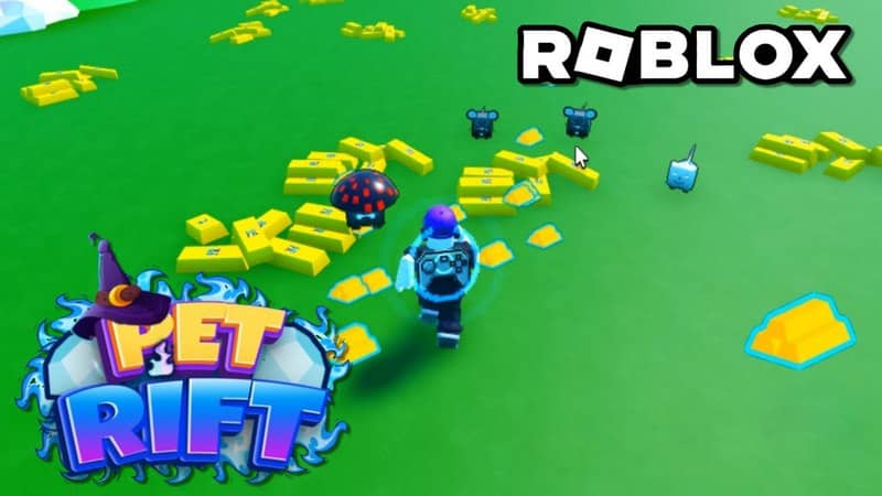 Giới Thiệu Về Game Pet Rift Roblox