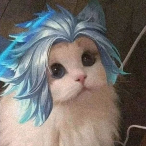 Ảnh Avatar Mèo LQ Bright cute