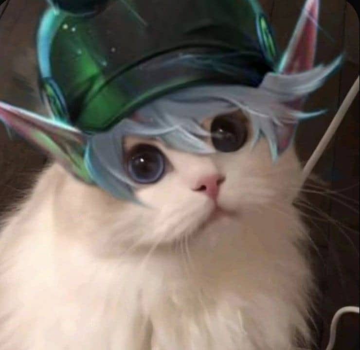 Ảnh Avatar Mèo LQ Cute Đẹp Nhất