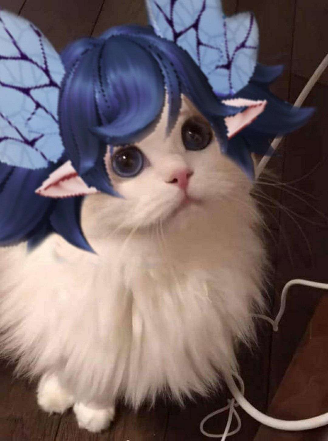 Ảnh Avatar Mèo LQ Cute Độc Đáo Nhất