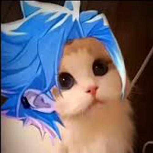 Avatar Mèo LQ Nakroth Thứ Nguyên Vệ Thần đẹp nhất