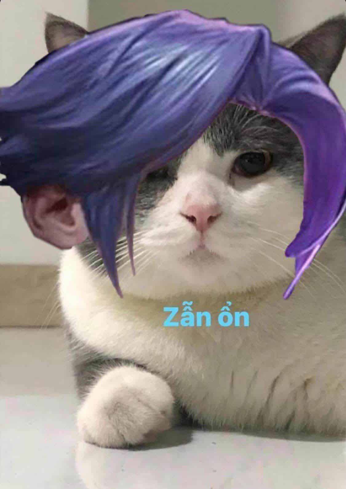 Hình Avatar Mèo LQ Florentino dễ thương