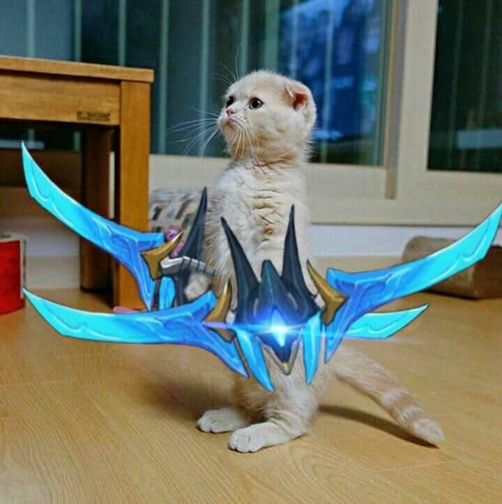 Hình Avatar Mèo Liên Quân Nakroth đẹp nhất