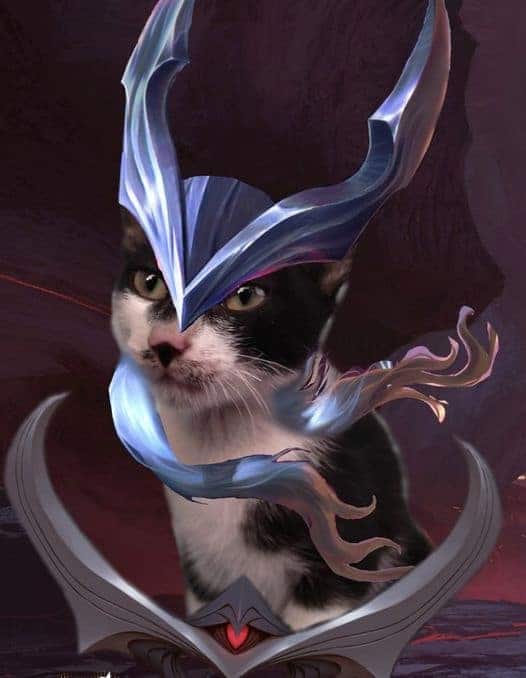 Hình Avatar Mèo Liên Quân Nakroth siêu chất
