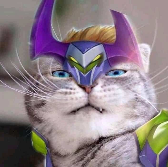 Hình Avatar Mèo Liên Quân Nakroth