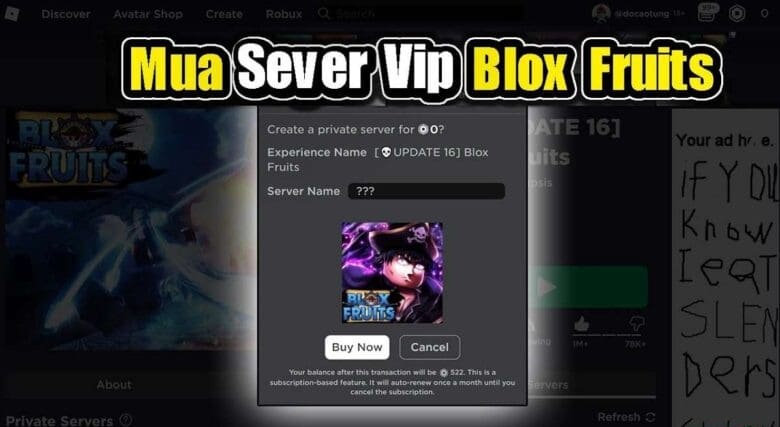Mua Server VIP Blox Fruits Trên PC
