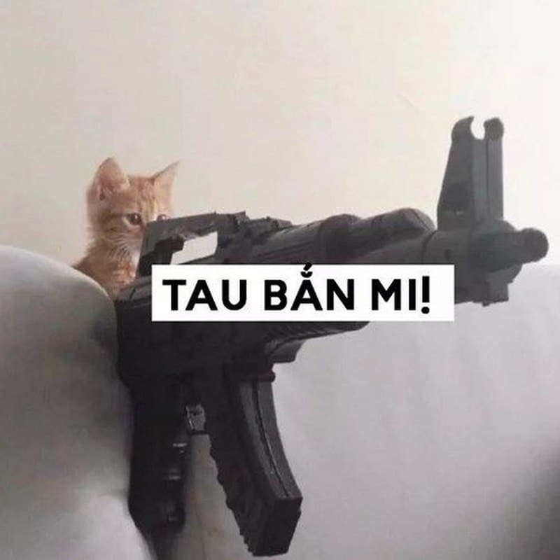Hình mèo cầm súng Free Fire chế vui
