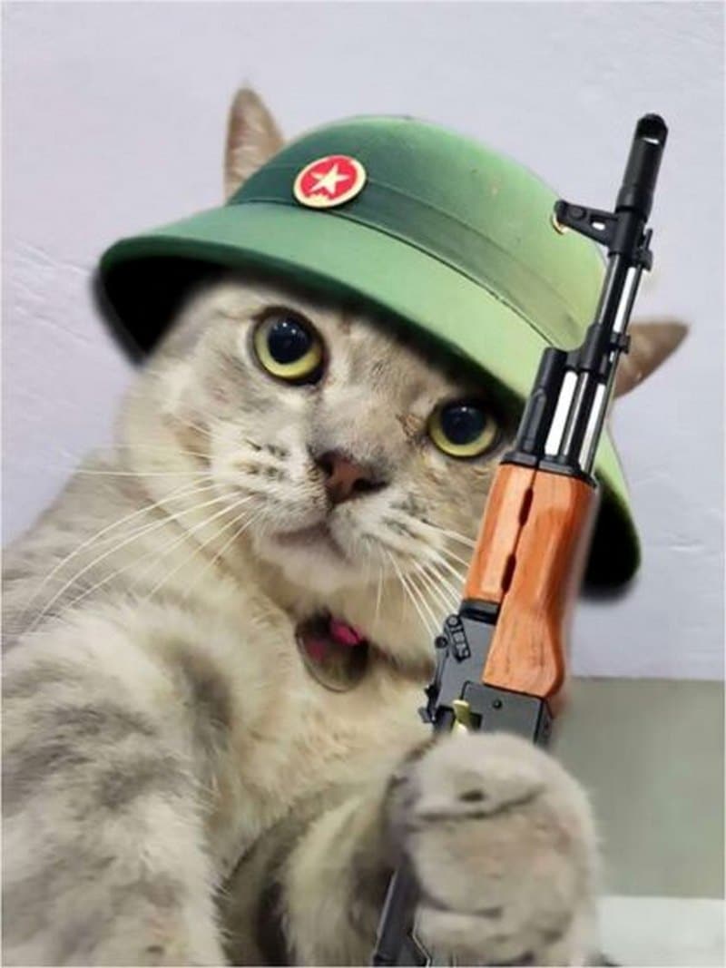 Hình mèo cầm súng Free Fire độc đáo