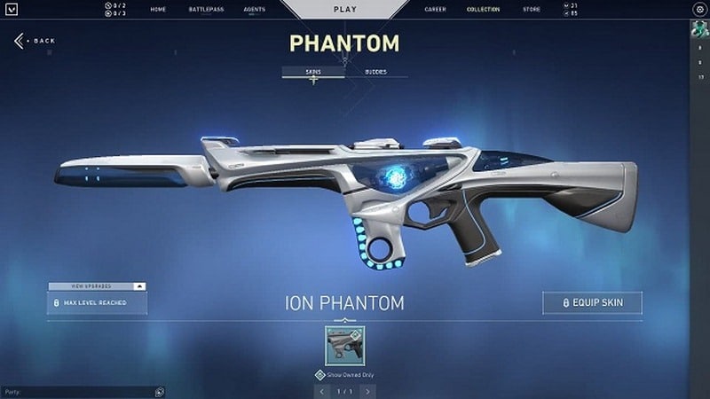 Ion Phantom