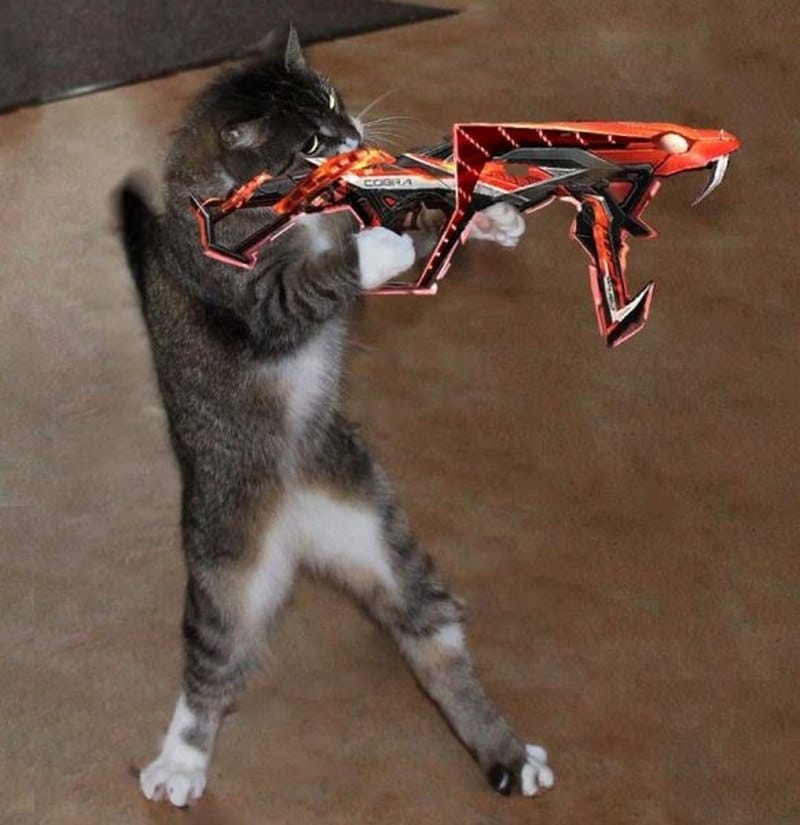 Mèo cầm súng MP40 mãng xà ngầu lòi