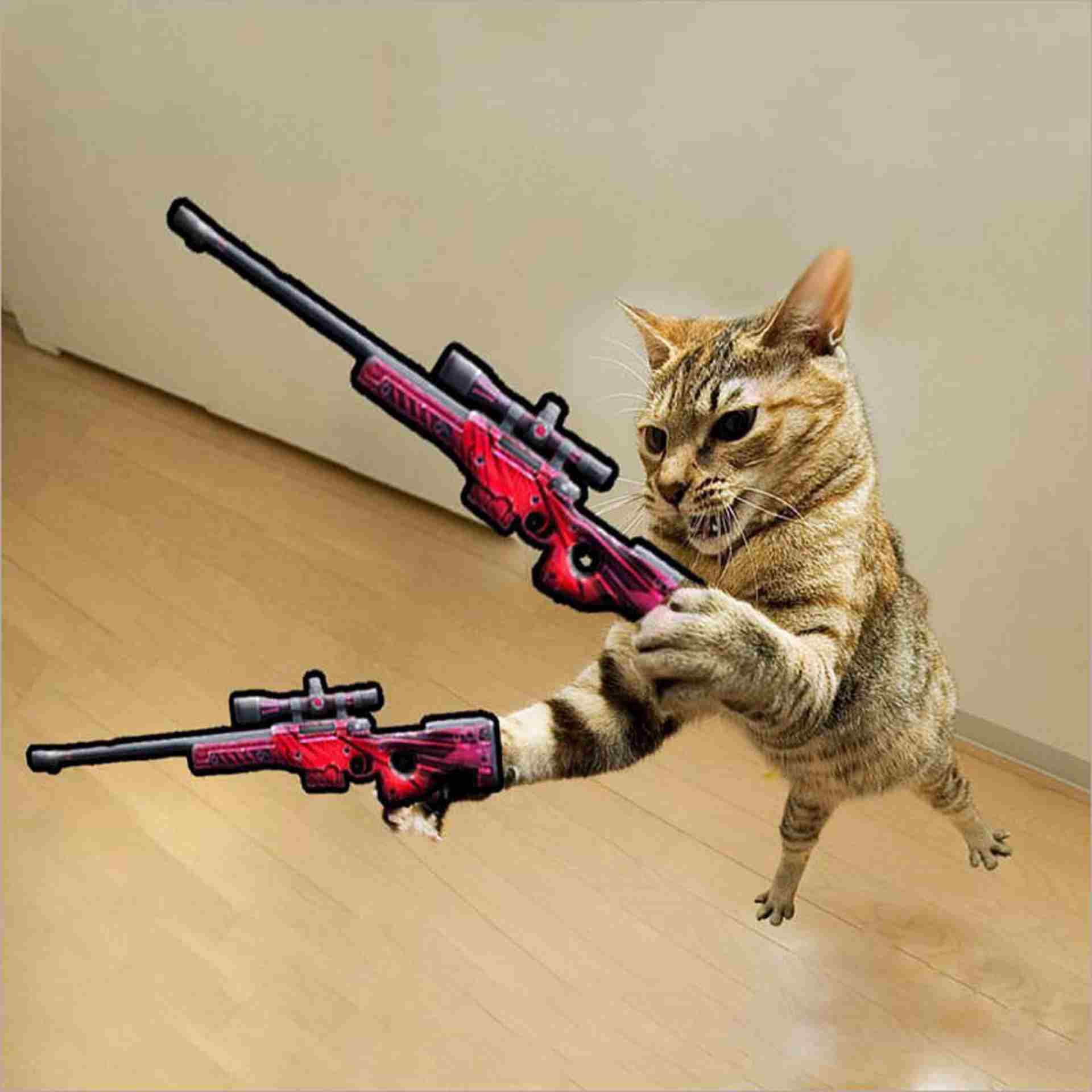 Mèo cầm súng trong Free Fire
