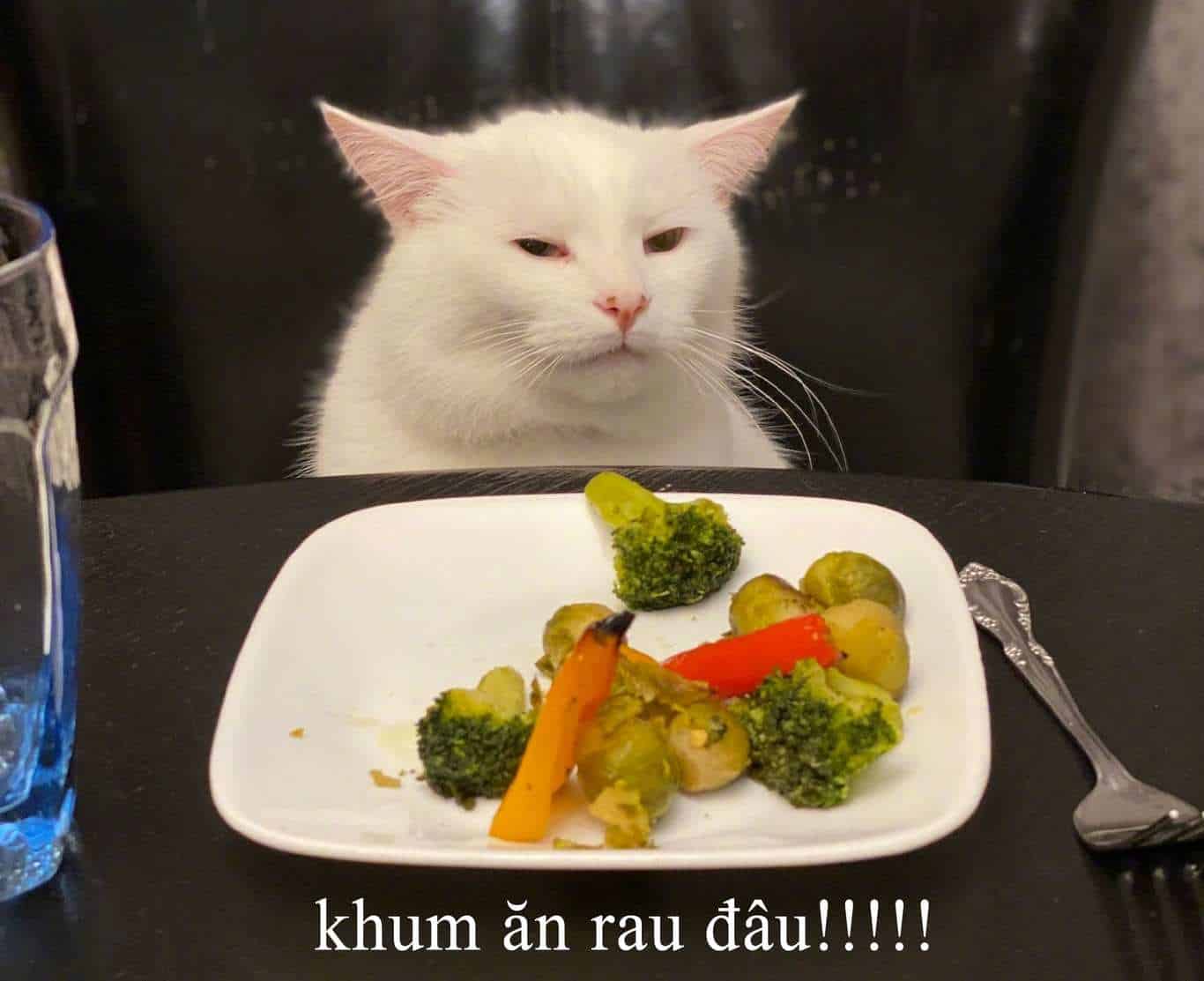 Chia sẻ hình ảnh mèo ăn rau vui nhộn