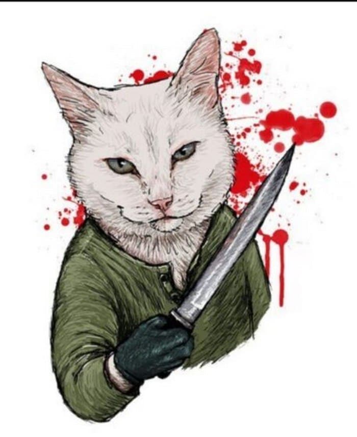 Hình ảnh avatar mèo cầm dao