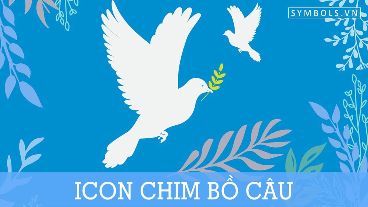 Icon Chim Bồ Câu