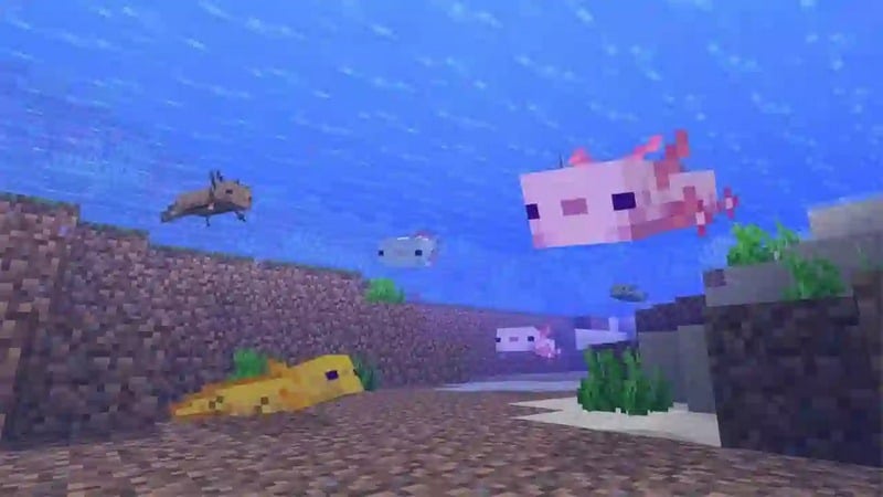 Lệnh Triệu Hồi Axolotl Hiếm Trong Minecraft