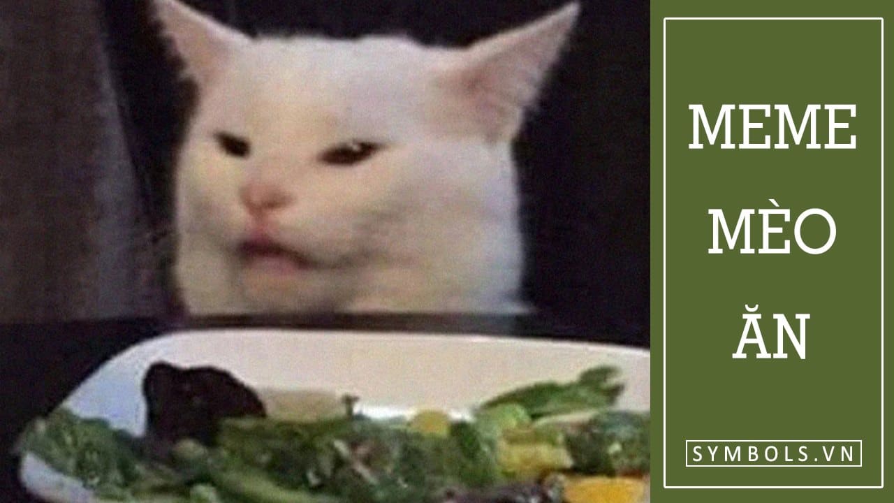 Meme Mèo Ăn