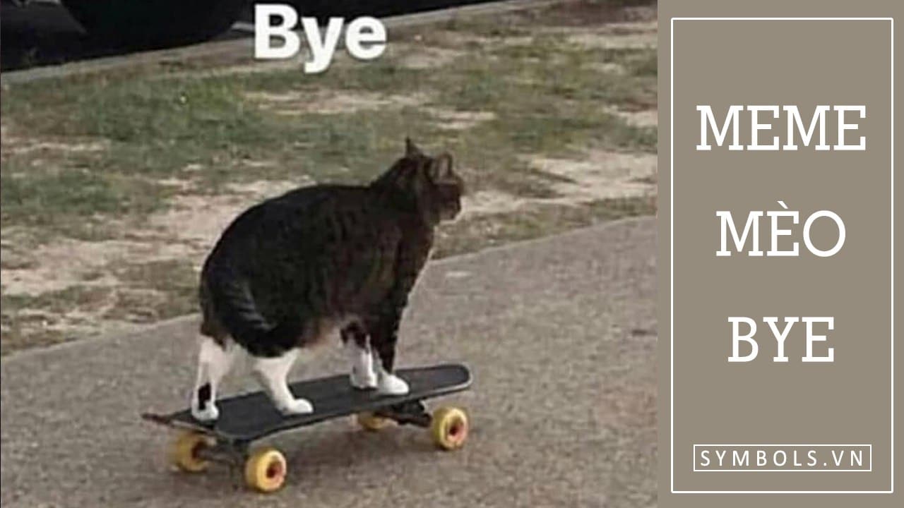 Meme Mèo Bye