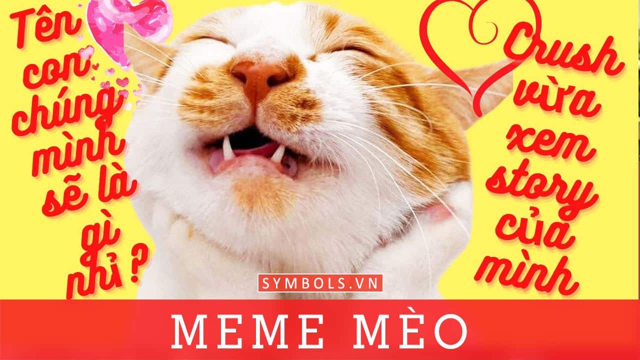 Meme Mèo
