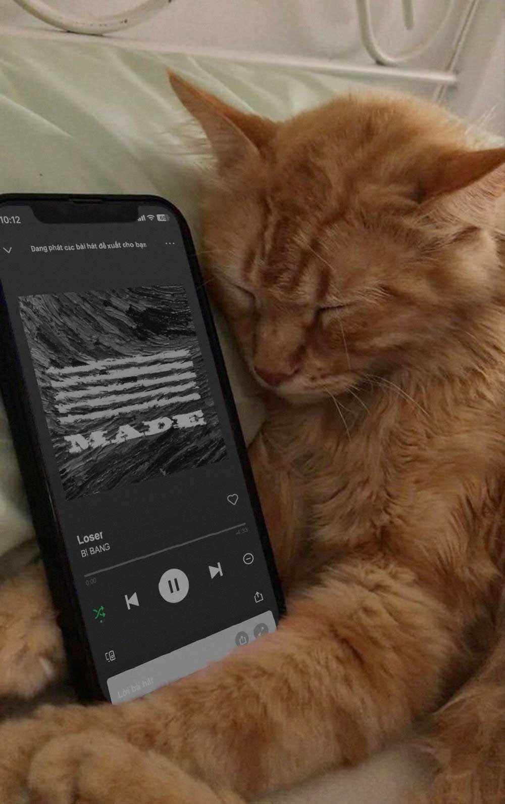 Share hình ảnh chế mèo ôm điện thoại yêu một người vô tâm buồn