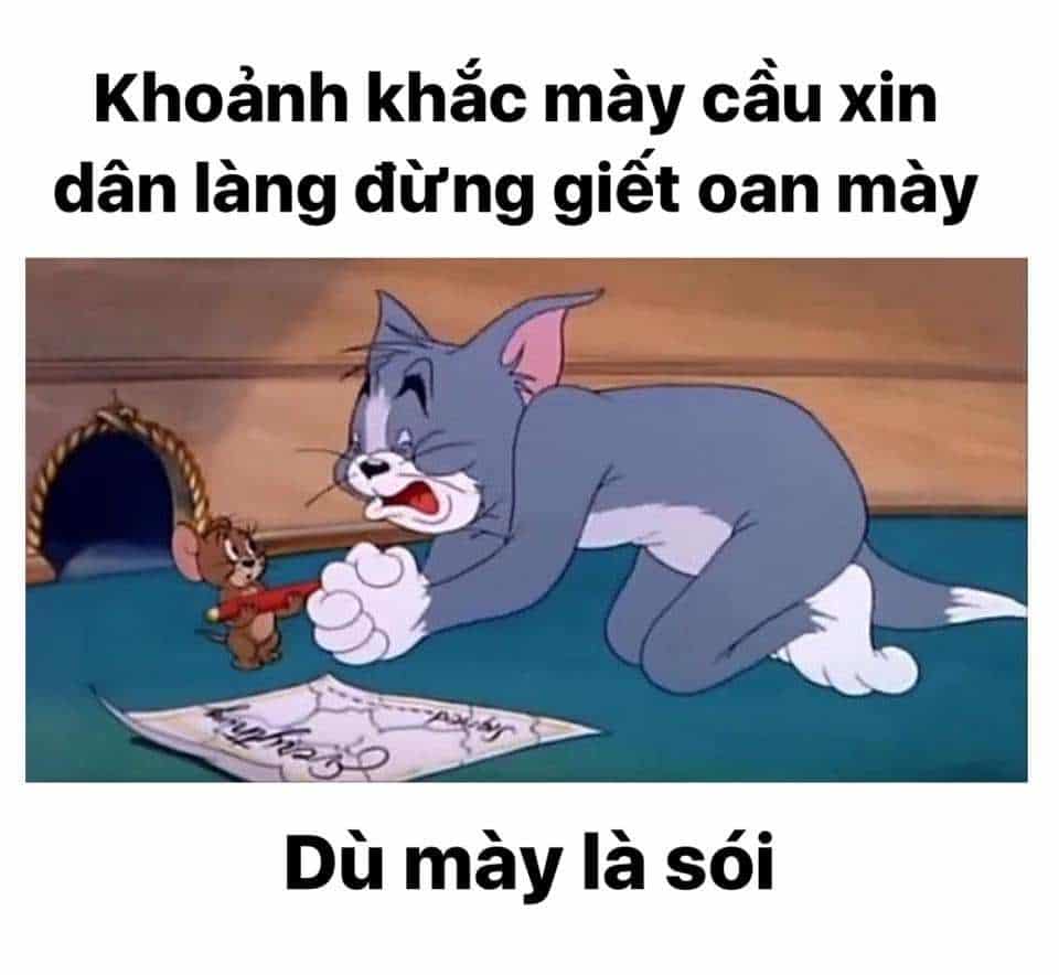 Ảnh chế Tom Jerry meme hài nhất