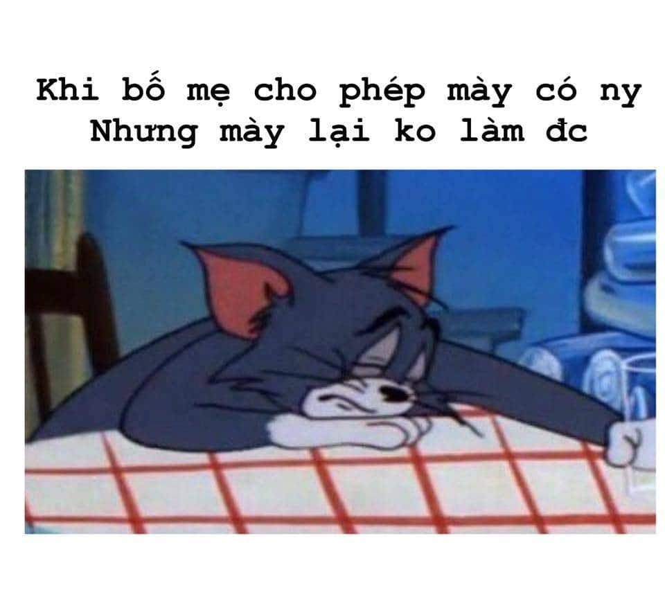 Ảnh chế Tom Jerry meme