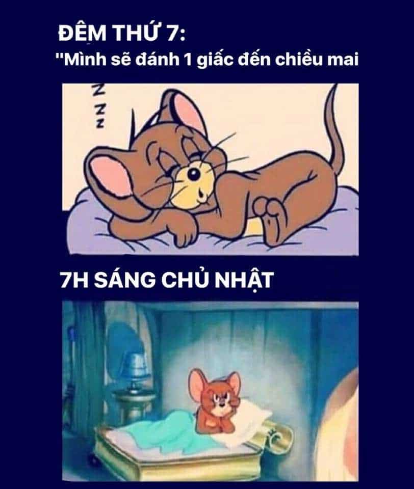 Chia sẻ những meme Tom Jerry buồn cười