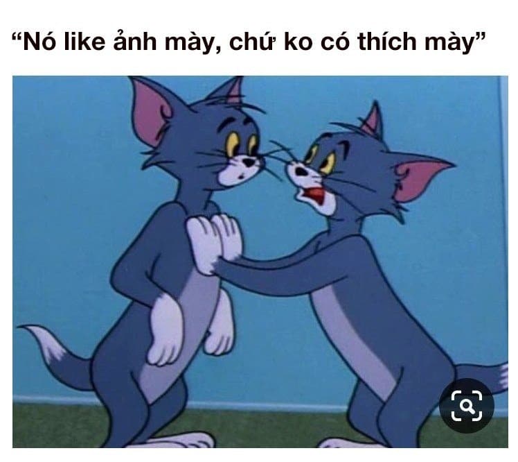 Chia sẻ những meme Tom Jerry siêu hài