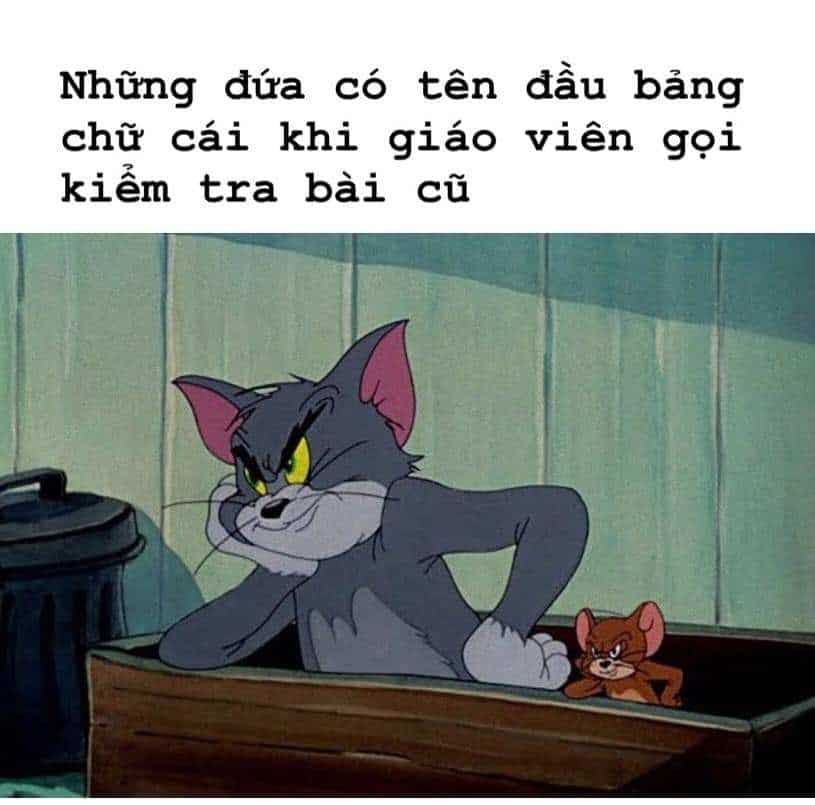 Chia sẻ những meme Tom Jerry