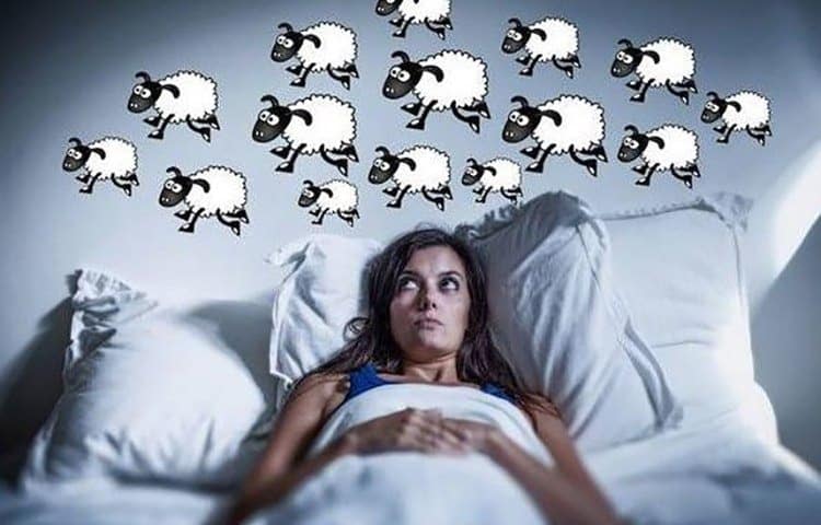 Hình mất ngủ đếm cừu