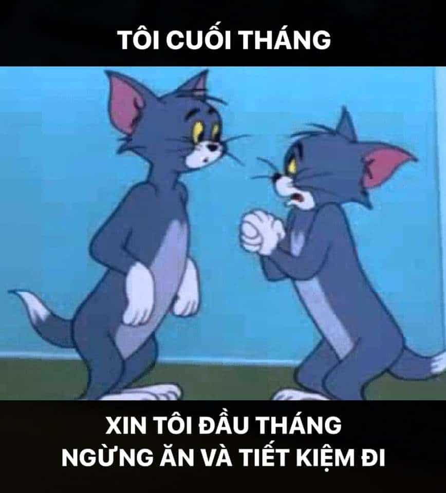 Meme Tom and Jerry bá đạo nhất