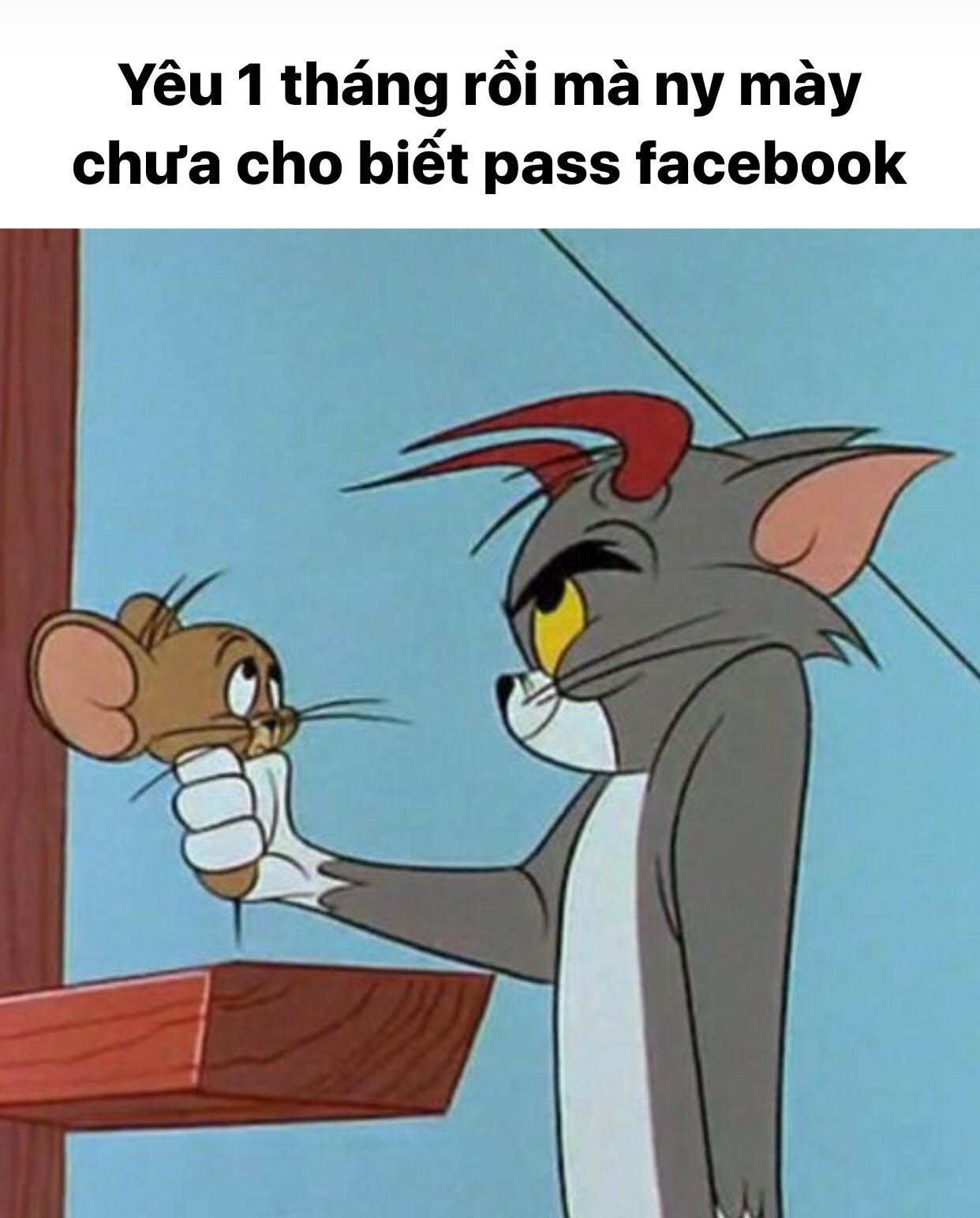 Meme Tom and Jerry bá đạo