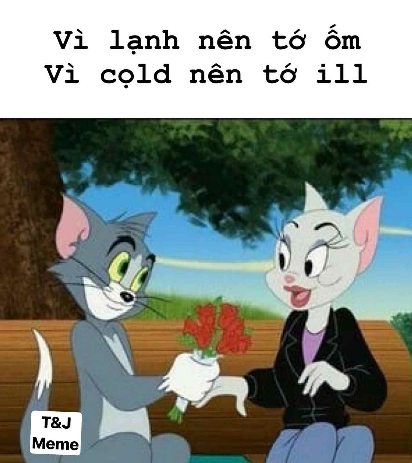 Những meme Tom và Jerry hài hước nhất