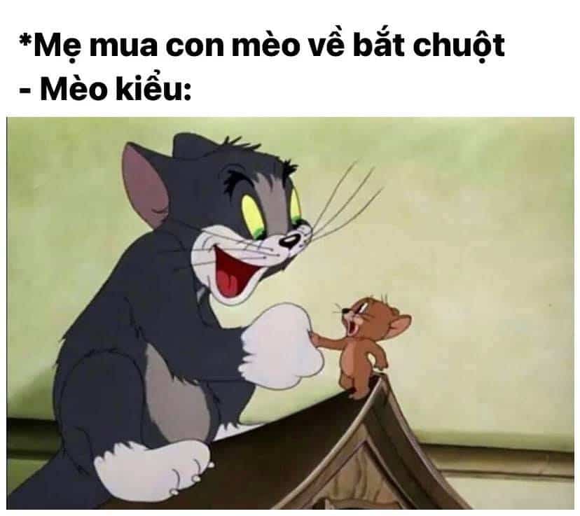 Share hình Tom và Jerry meme troll hài hước