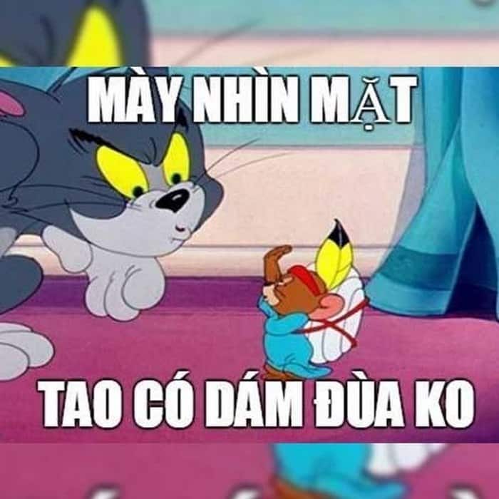 Share hình Tom và Jerry meme troll siêu hài