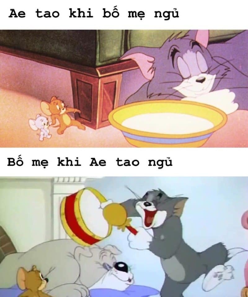 Share hình Tom và Jerry meme troll