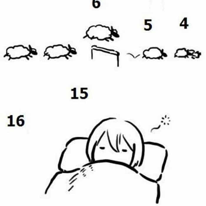 Share hình đếm cừu khi bị mất ngủ