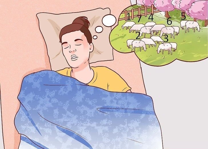 Share những hình đếm cừu khi mất ngủ