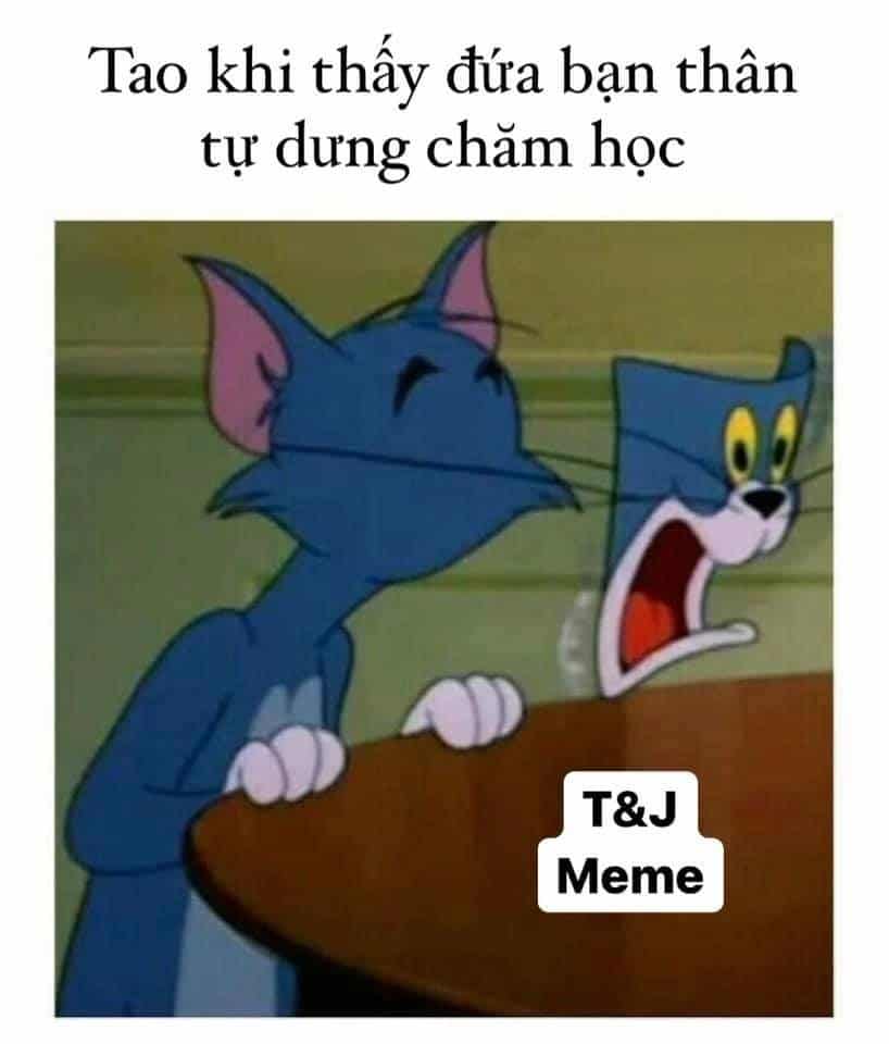 Tom and Jerry meme Việt Nam bựa nhất